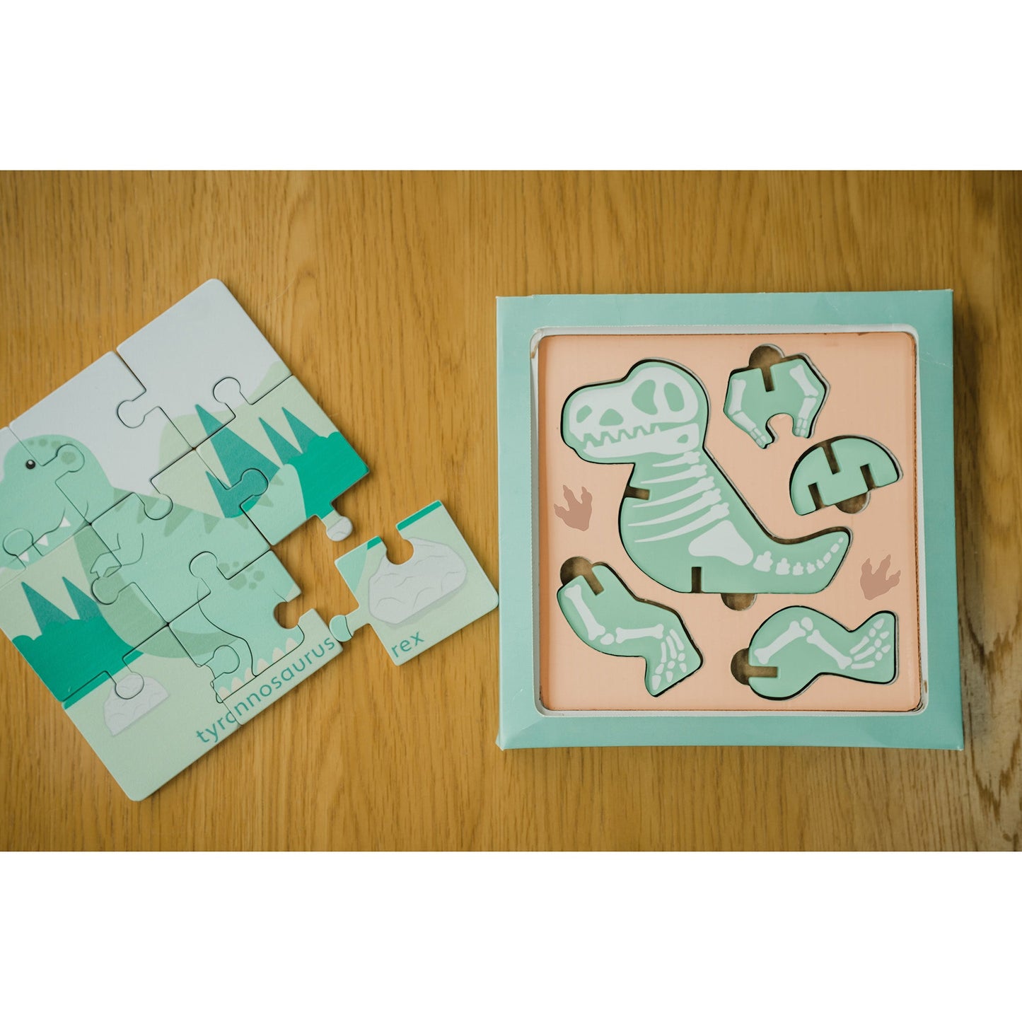 NEW T-Rex Dig - 3D Model & Puzzle
