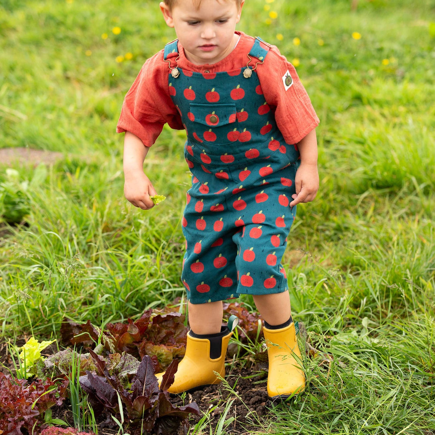 Apple Dungaree Shorts