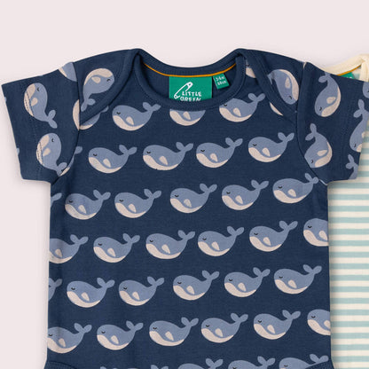 Singing Whales Organic Baby Bodysuit 2 Pack