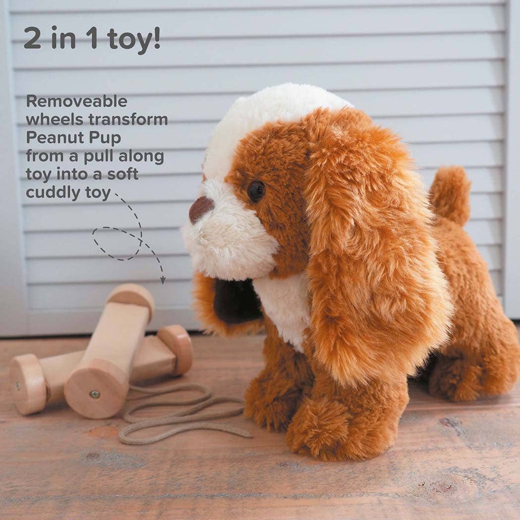 Peanut Pup Pull Along Toy - children's toys, wooden toys