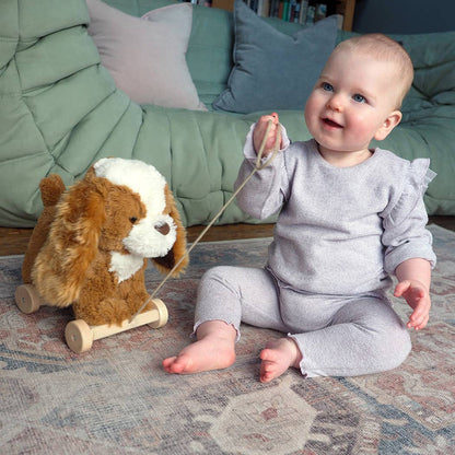 Peanut Pup Pull Along Toy - children's toys, wooden toys