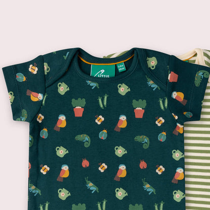 Spring Garden Organic Baby Bodysuit 2 Pack