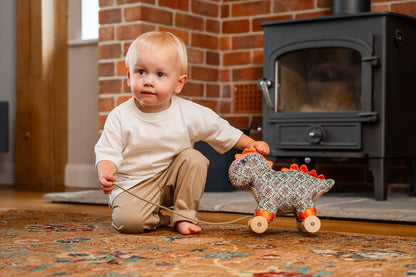 Digley Dinosaur Pull Along Toy - children's toys, wooden toy
