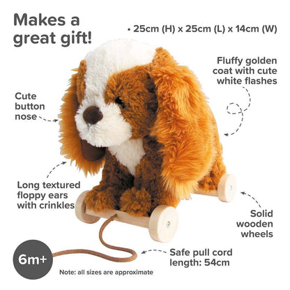Peanut Pup Pull Along Toy - children's toys, wooden toys