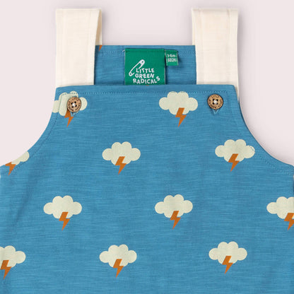 All Weather Storytime Dungaree Shorts